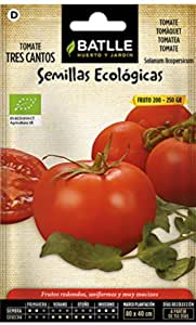 Semillas ecologicas de tomate tres cantos