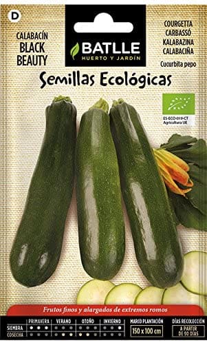 Semillas ecológicas de Calabacín