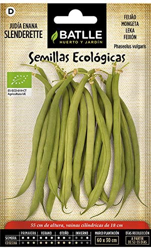 Semillas ecologicas judias enanas de enrame