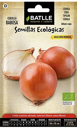 Semilla Ecologica Cebolla Babosa