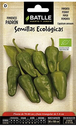 Semillas Ecologicas de Pimiento de Padron