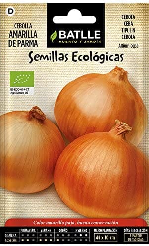 Semilla Ecologica Cebolla Amarilla de Parma