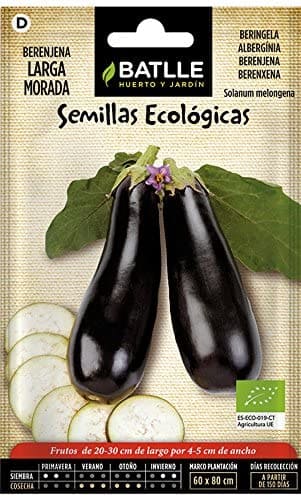 Semillas Ecológicas de Berenjena Larga Morada