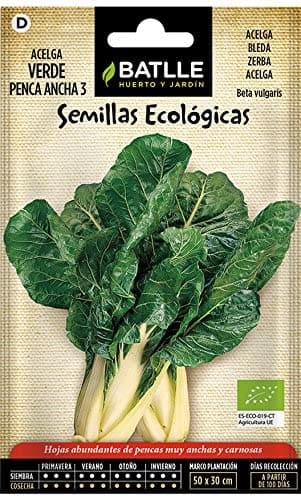 Semillas Ecologicas de Acelga Verde Panca Ancha