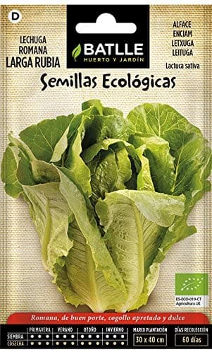 Semilla Ecologica Lechuga Romana Larga Rubia