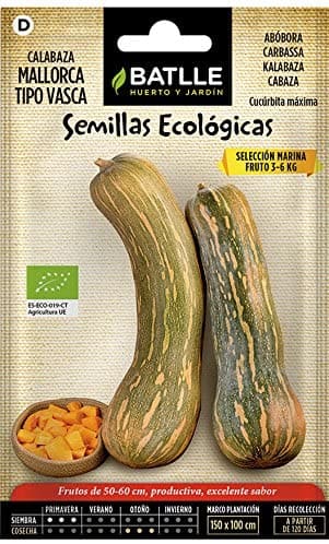 Semillas Ecologicas de Calabaza mallorca