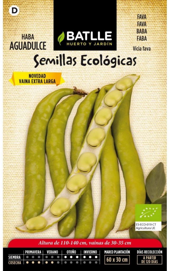 Semillas ecologicas de habas